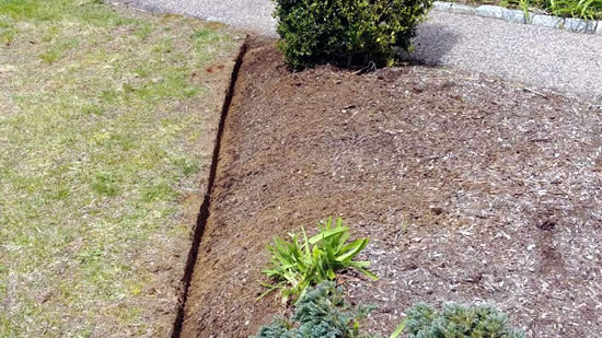 Lawn Edging Services