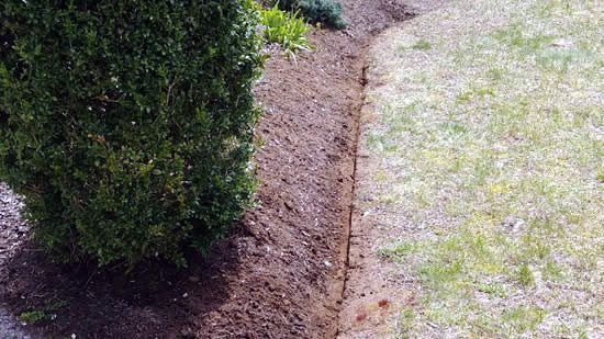 Lawn Edging Services