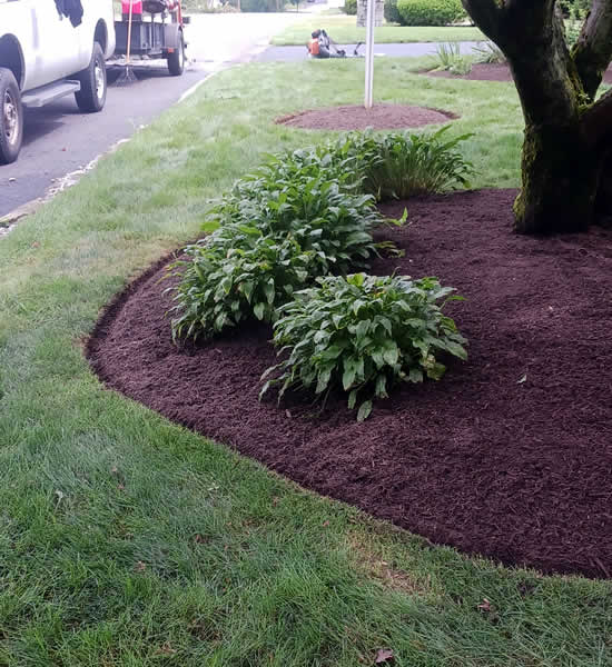 Mulch Installatio for Flower Beds